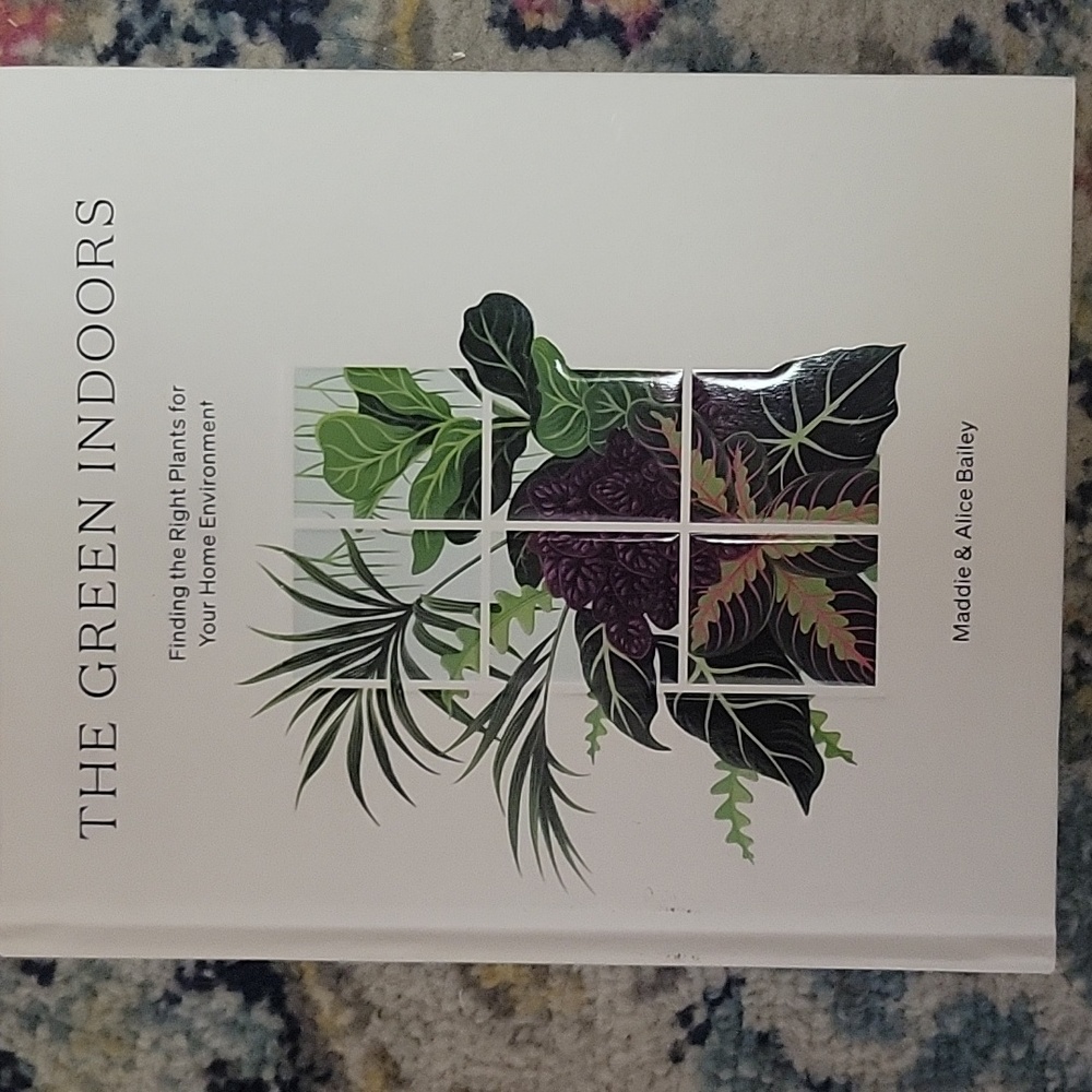 The Green Indoors: Finding the Right Plants for Your Home Environment
